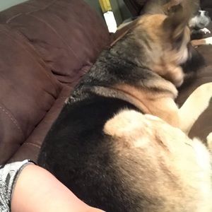 Meet your Posher, Karen